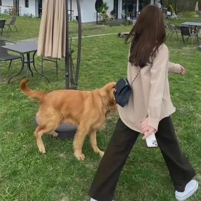 绝密档案：迷失世界